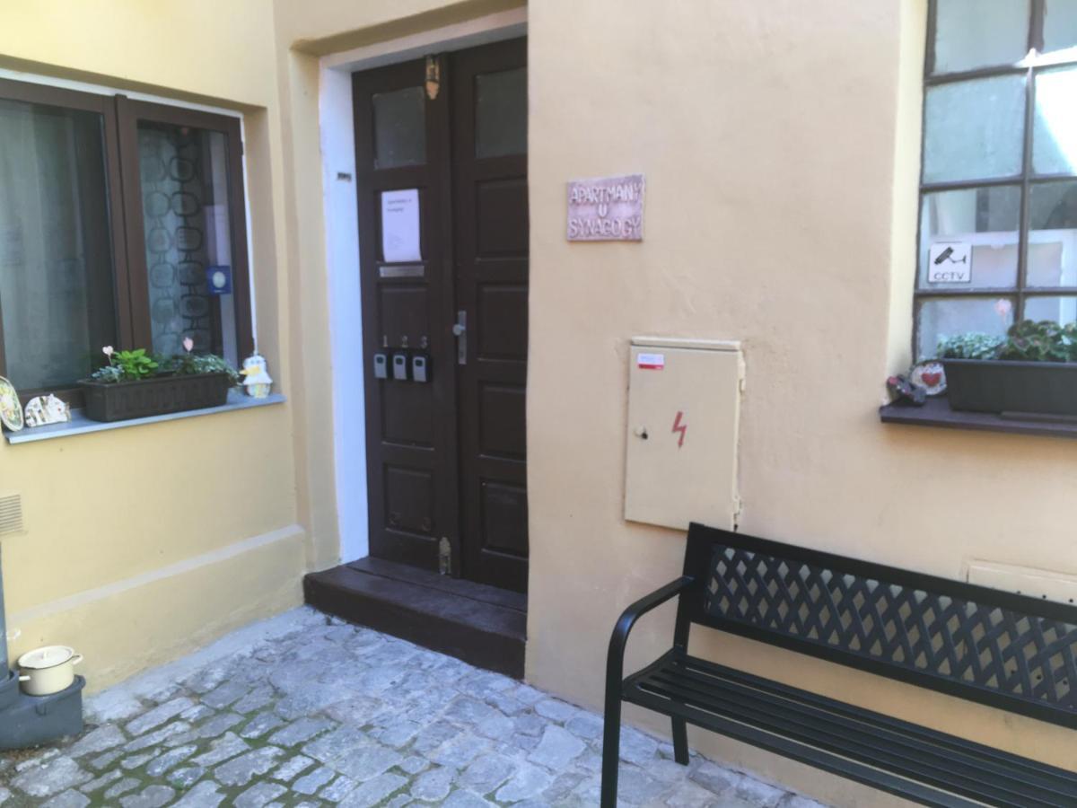 U Synagogy Apartment Trebic